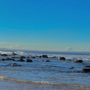 Meet your Posher, Holly